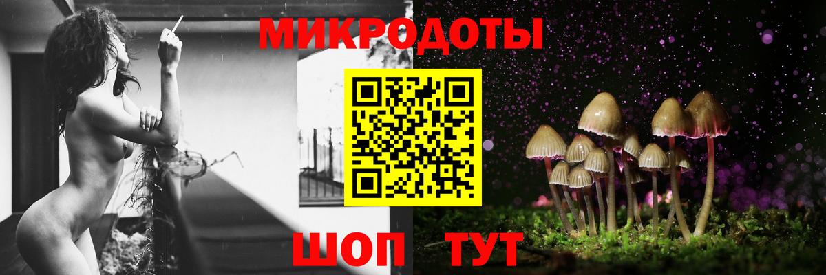 Зерноград  купить закладку  Вход с VPN  Псилоцибиновые грибы Cubensis 